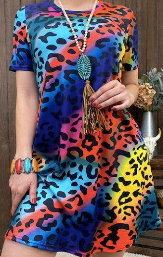 MULTI COLOR LEO DRESS