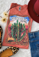 BLESSED DAY EVER GILDAN SOFT BRAND T SHIRT HEATHER BRONZE SIZE 2X